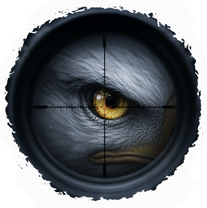 Apex eye