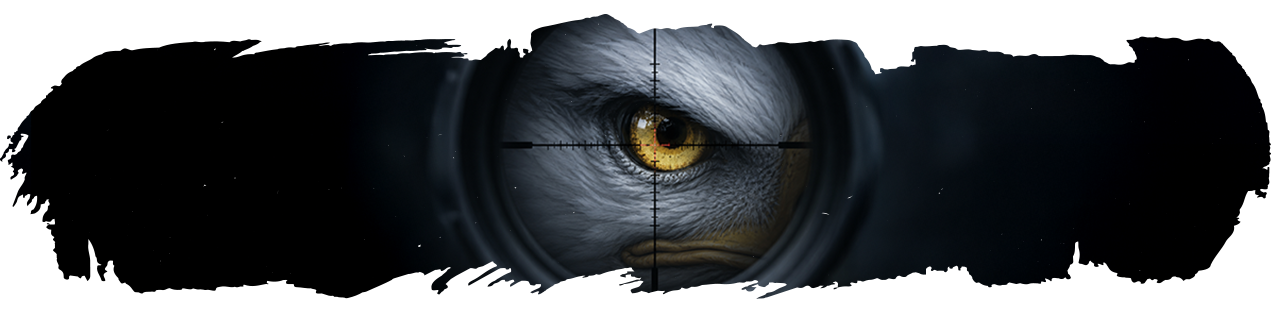 bandeau Apex eye